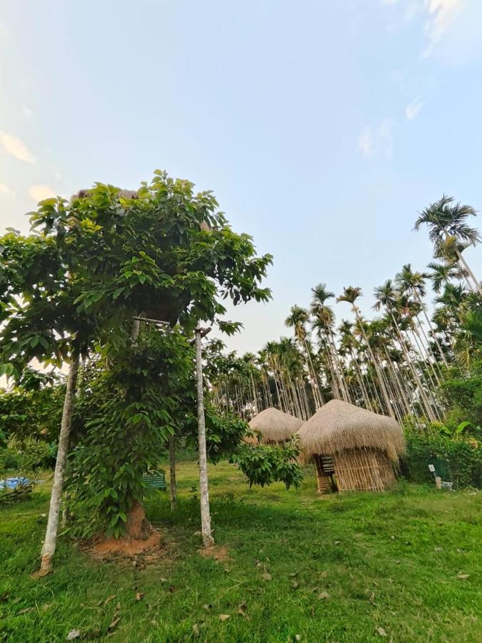 Three Roots Holiday Home Resort 술탄 바테리 외부 사진